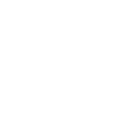ماستر في NLP